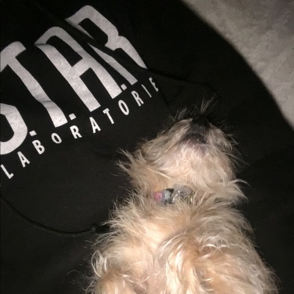 Time to gather some blues!! - Picture 6 of 7